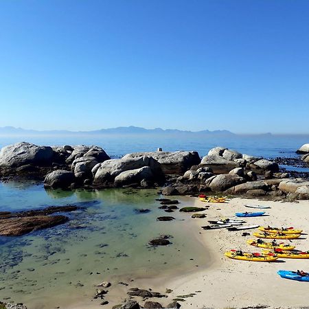 Boulders Beach Hotel, Cafe And Curio Shop Саймонс-Таун Екстер'єр фото